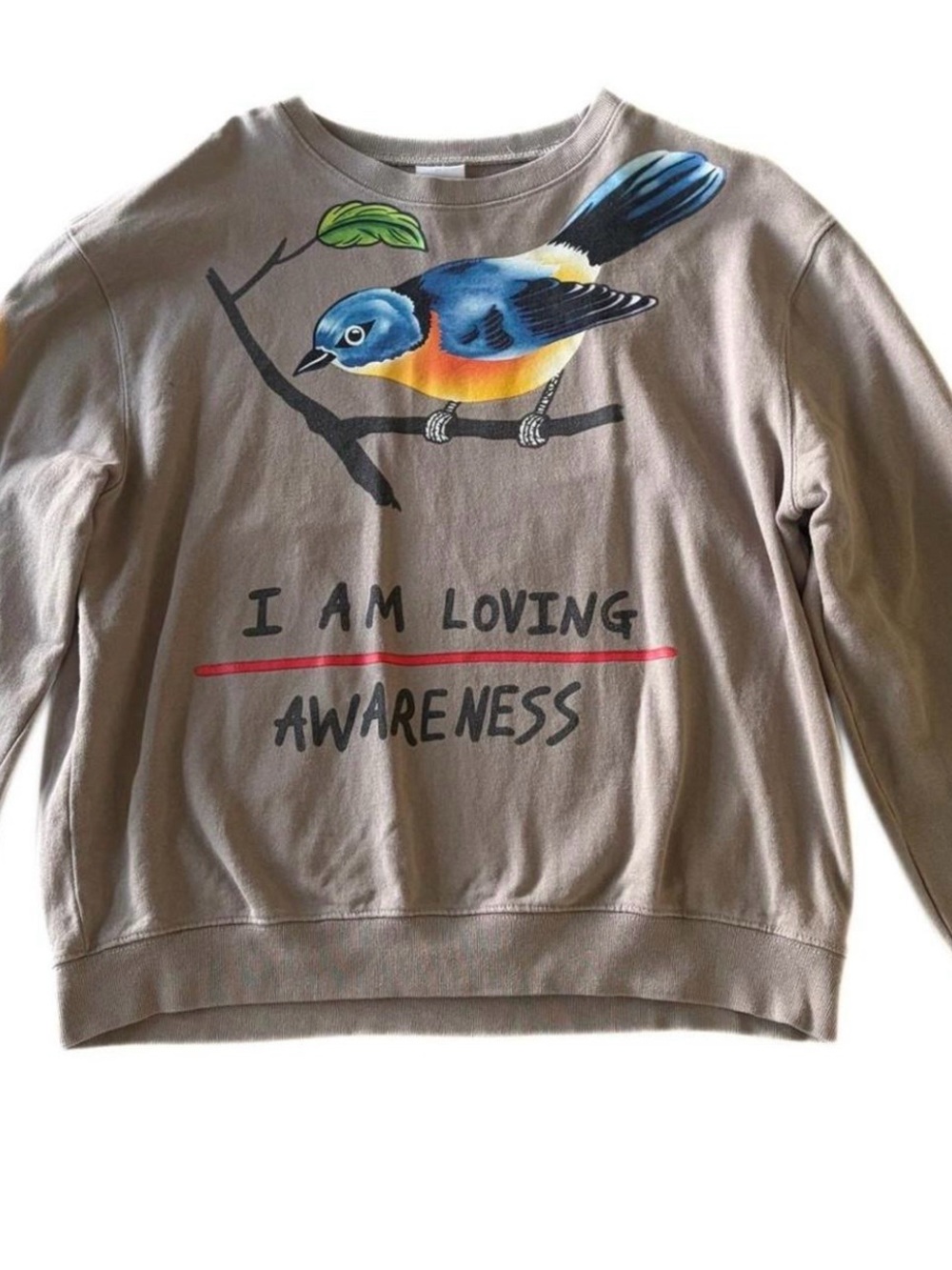 EUC Kayne West dupe Graphic Bird Pullover Sweatshirt - I AM LOVING AWARENESS